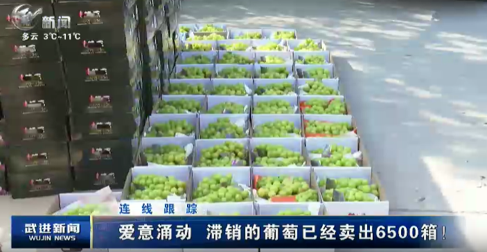 连线跟踪 爱意涌动 滞销的葡萄已经卖出6500箱！